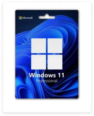 Gift Card Windows 11 Professional